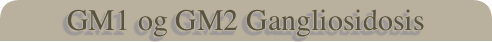 GM1 og GM2 Gangliosidosis