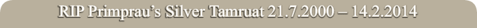 RIP Primprau’s Silver Tamruat 21.7.2000