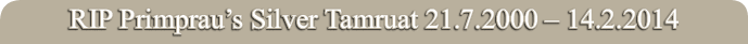 RIP Primprau’s Silver Tamruat 21.7.2000
